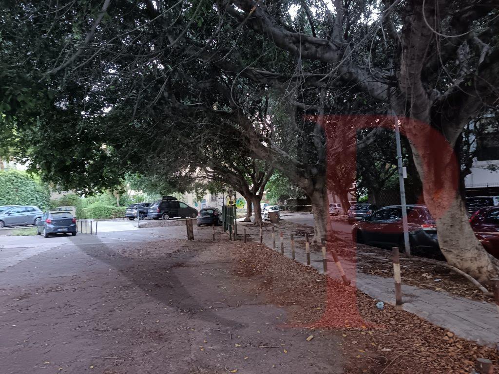 Alberi