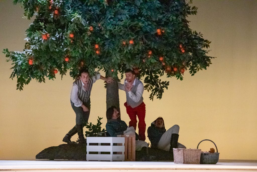Il Barbiere di Siviglia