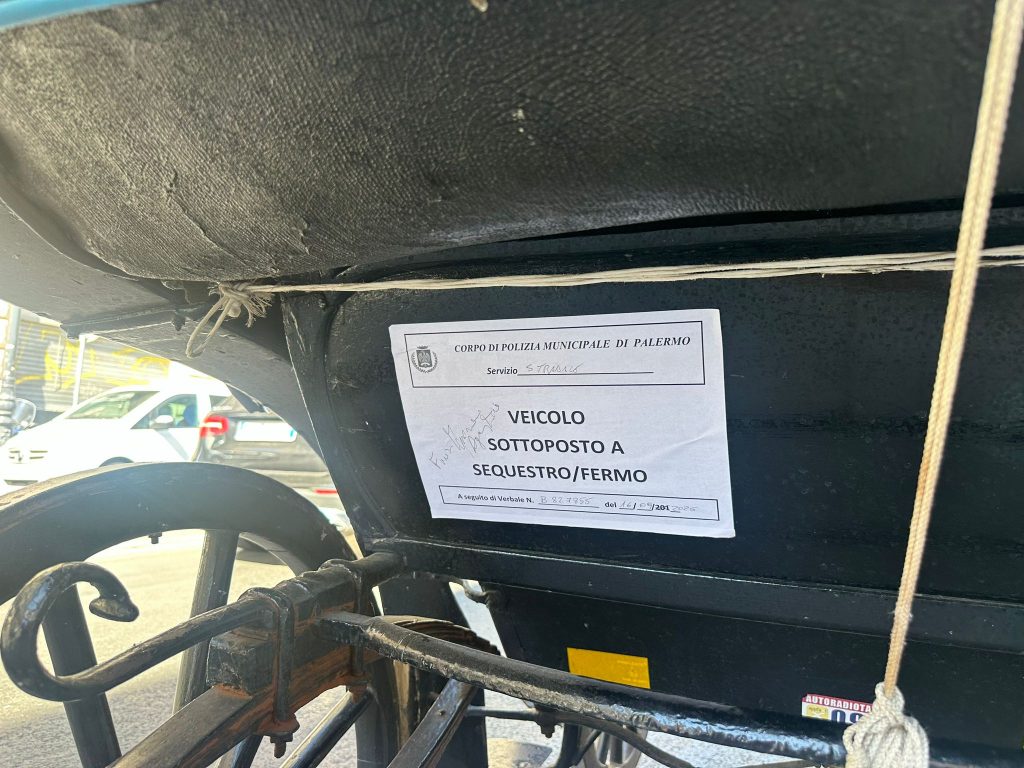 Ismaele La Vardera carrozza abusiva