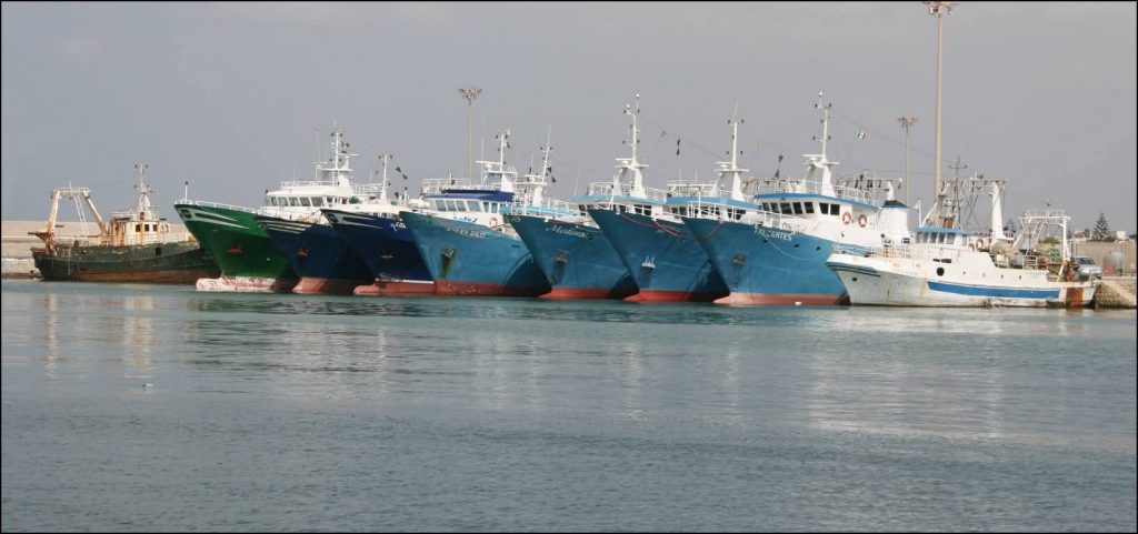 Settore ittico Sicilia