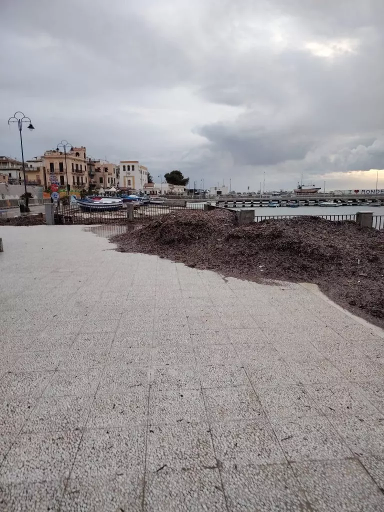 mondello