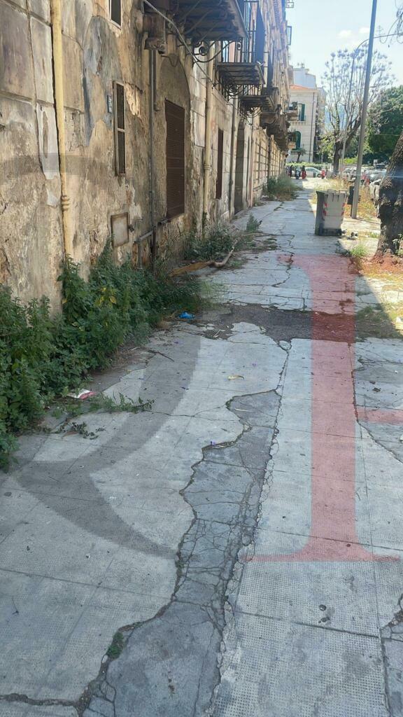 Noce rifiuti volontari Palermo 