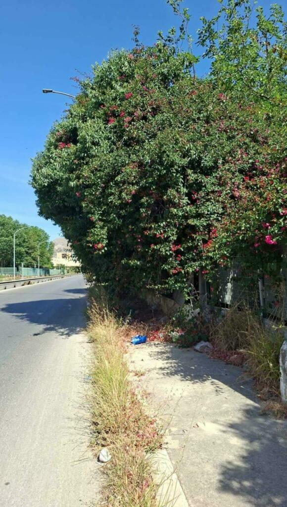 via pertini marciapiede